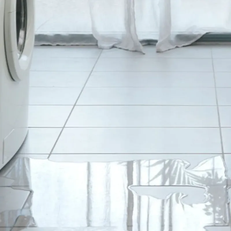Appliance Leak Cleanup in Carmichael, CA
